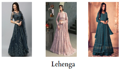 Lehenga examples